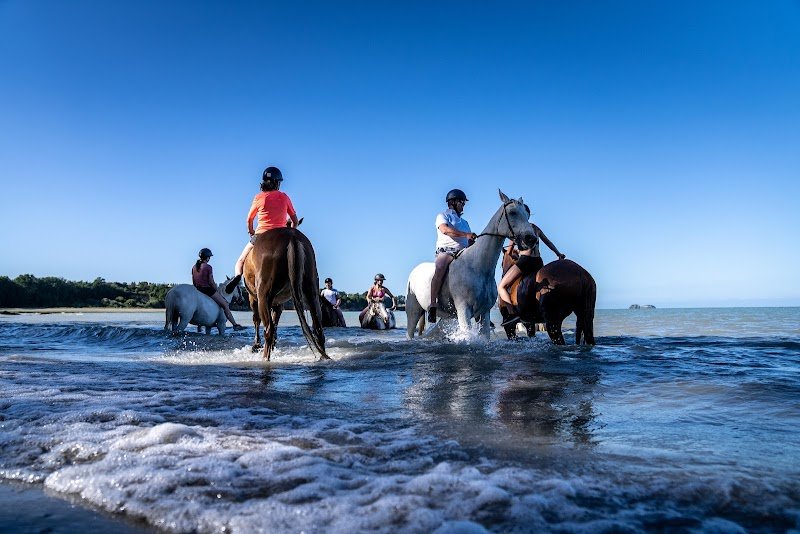 Haras du Buot - photo 1
