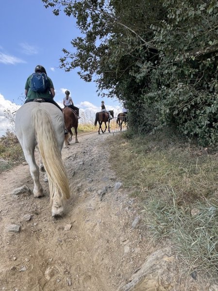 Haras du Buot - photo 2