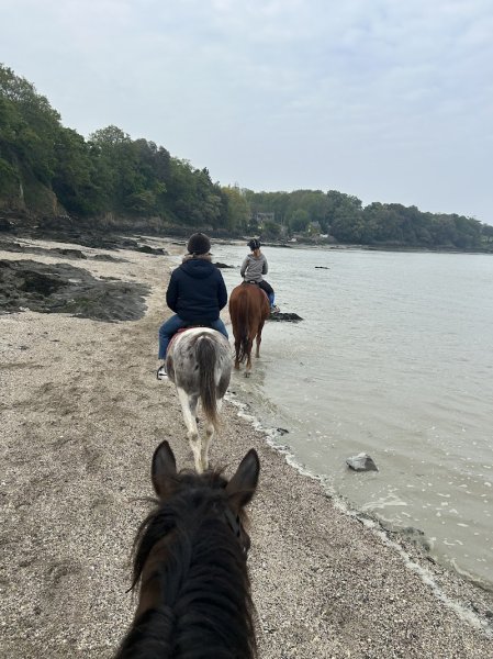 Haras du Buot - photo 3