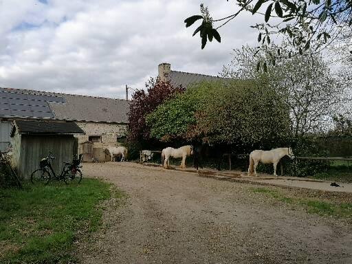 Ferme Équestre Les Korrigans - photo 3