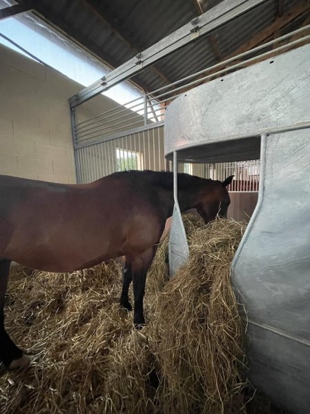 Écuries Ludovic Rias