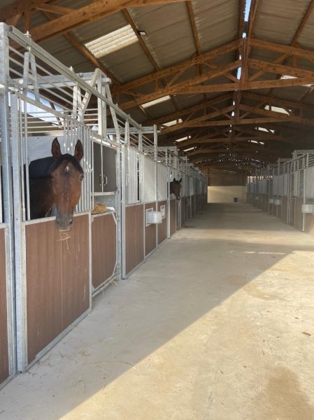 Écuries Ludovic Rias - photo 2