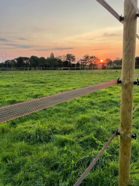 Écuries Ludovic Rias - photo 3