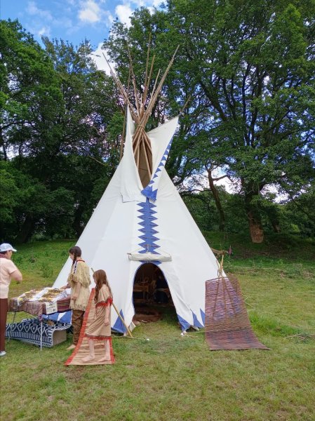 Natural ranch horse - photo 1