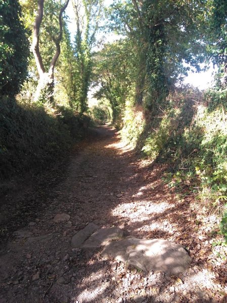 Ecuries de Kerallan - photo 1