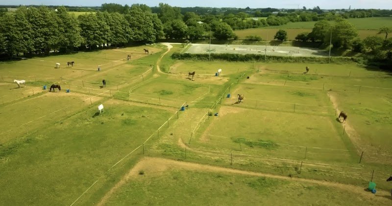 Ecurie Pascal Maltret - Chevaux de sport - photo 3