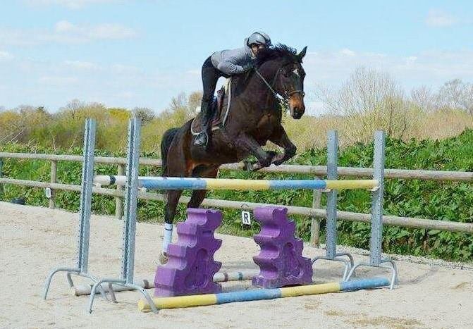 Centre Equestre de Keravel - Poney Club - Cheval Club - Pensions / Quimper - Finistère - Bretagne - photo 2