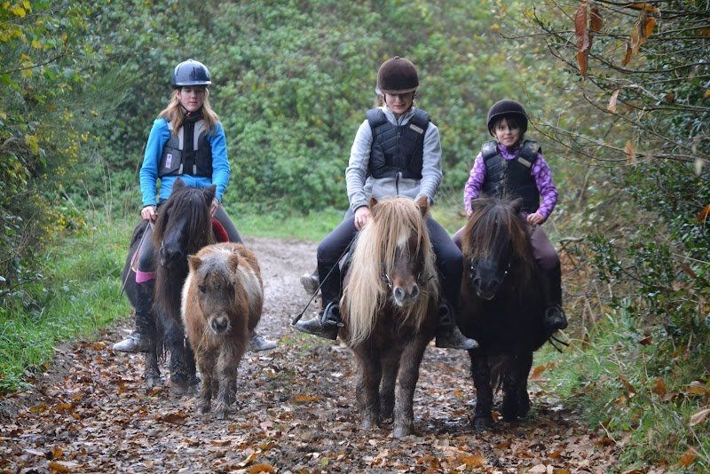 Centre Equestre de Keravel - Poney Club - Cheval Club - Pensions / Quimper - Finistère - Bretagne - photo 3