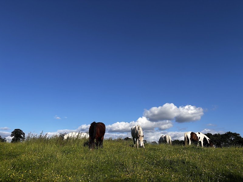 Ecuries de Locmaria - photo 3