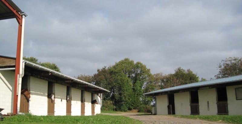 les chevaux de penhoat - photo 2