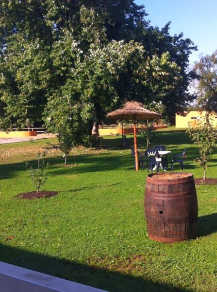 Poney Club des oliviers - photo 3