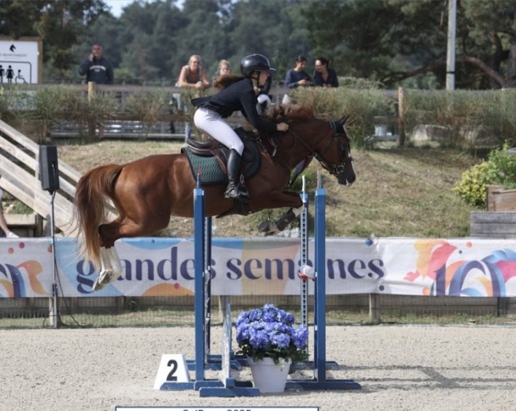 Le Petit Haras d'Aven - photo 2