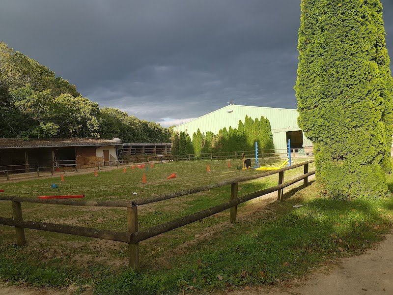 Ecuries de Cornouaille - photo 3