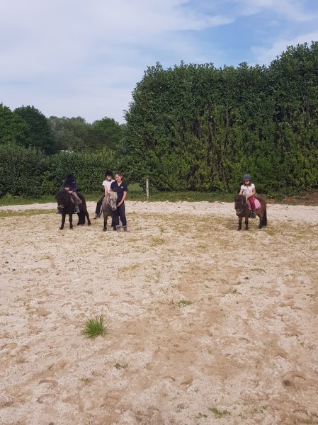 Les Chevaux De Toul Ar C'hoat - photo 3