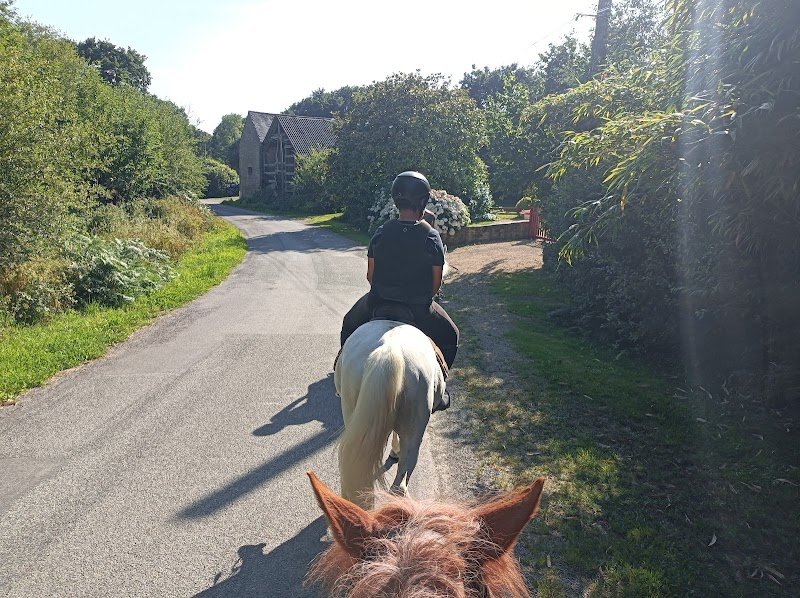 Haras de Kergueral - photo 2