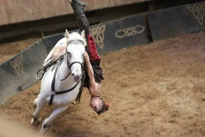 Les Écuries de l'Aven - photo 2