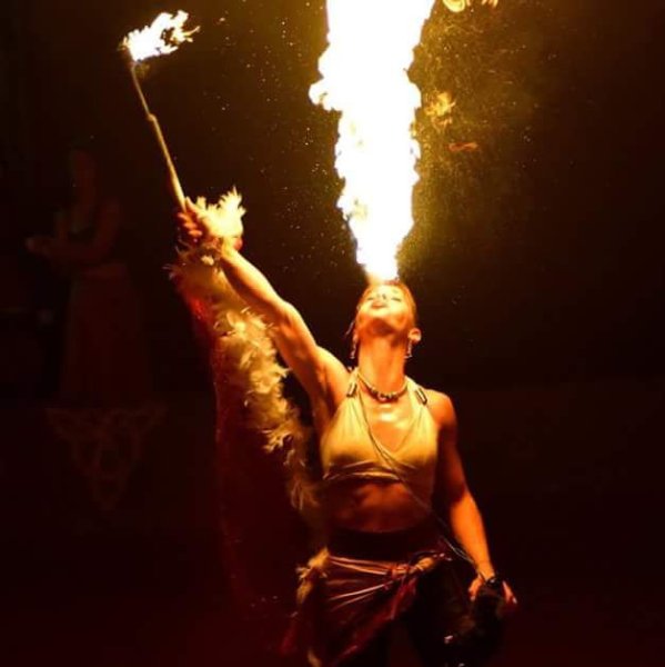 Les Écuries de l'Aven - photo 3