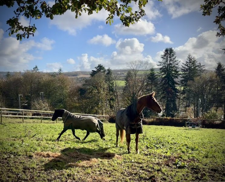 écuries de Légouaz