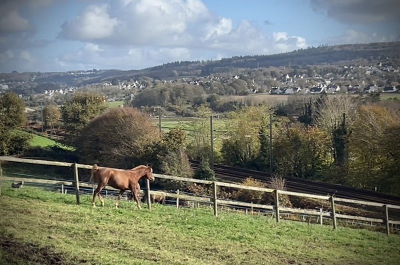 écuries de Légouaz - photo 2