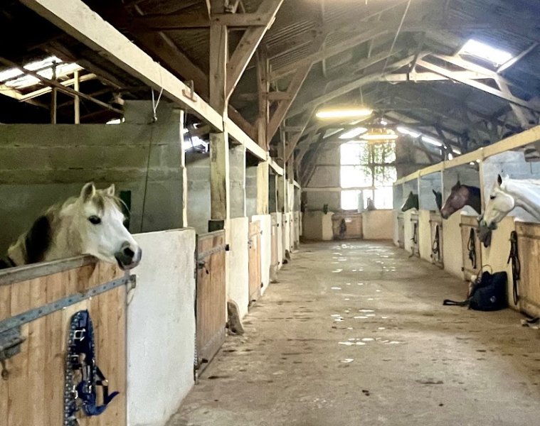 écuries de Légouaz - photo 3