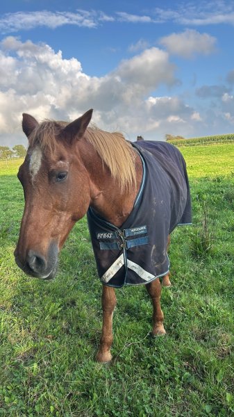 Pension Les Paturages - photo 2