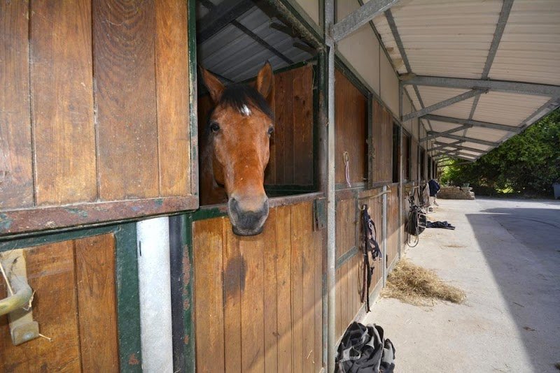 Club Hippique de l'Elorn