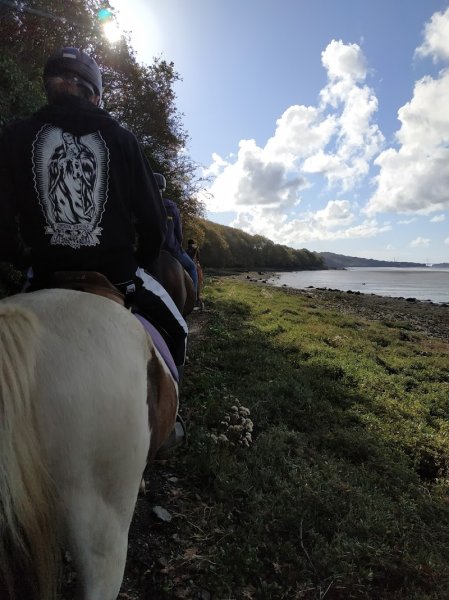 Centre équestre de Traon Elorn - photo 3