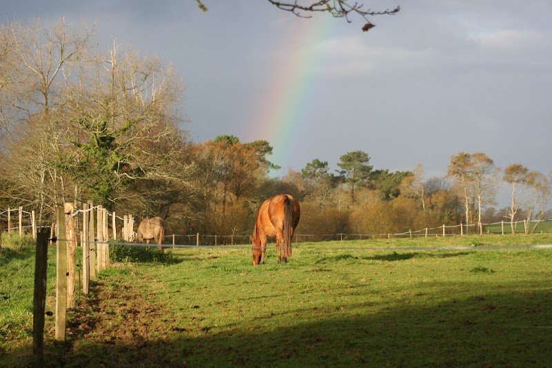 Écuries La ferme de Lanvern ( pension chevaux)