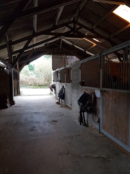 Écuries La ferme de Lanvern ( pension chevaux) - photo 2