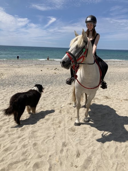 ECURIE TY MARC H - photo 2