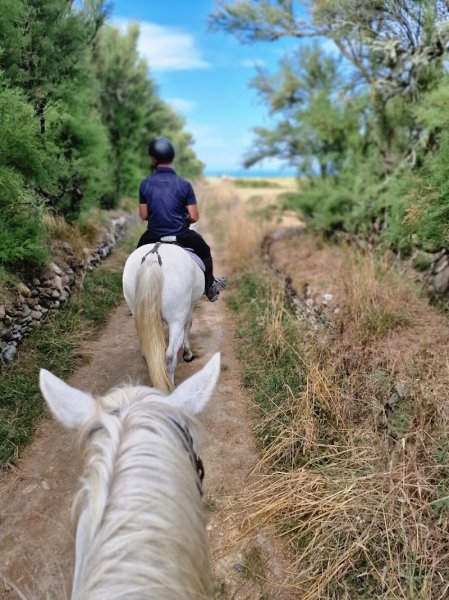 ECURIE TY MARC H - photo 3