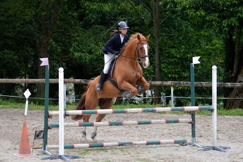 Ecurie de kéreval - photo 1