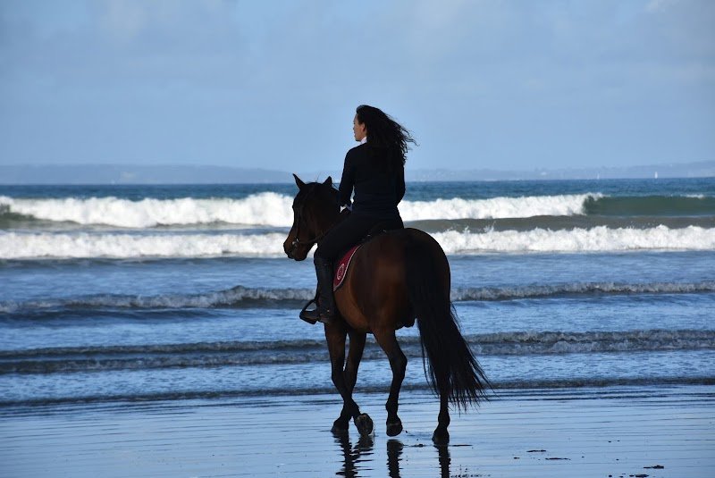 Ecurie de kéreval - photo 2