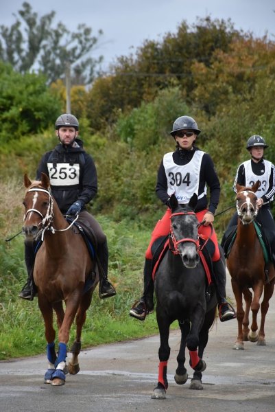 Ecurie de kéreval - photo 3