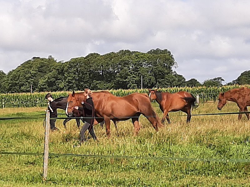 Esprit Cheval - photo 1