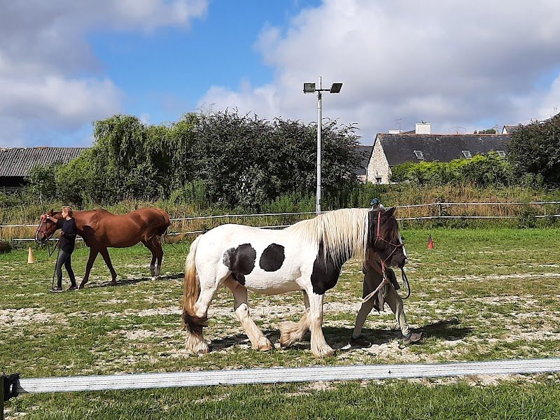 Esprit Cheval - photo 2