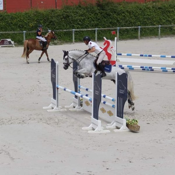 Écuries de Milin Avel - photo 2