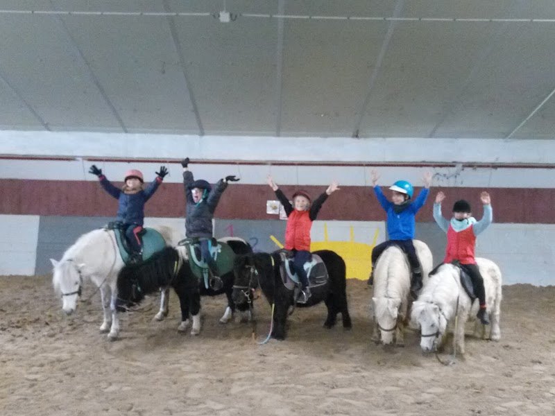 Les écuries des grains d'or - photo 1