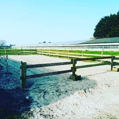 Les écuries des grains d'or - photo 3