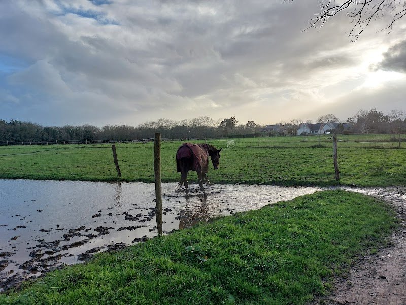 Club Hippique de Pont l'Abbé - photo 2