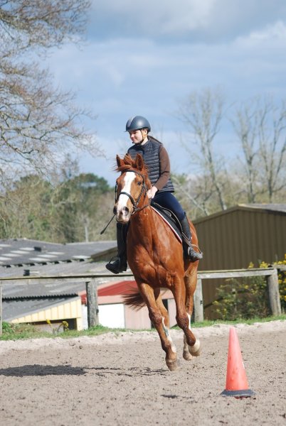 Club Hippique de Pont l'Abbé - photo 3