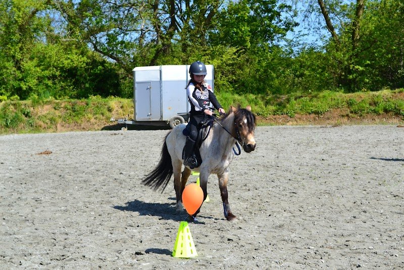 Centre équestre de Plouider - photo 3