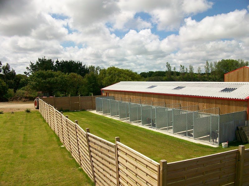 Chenil et Ecurie de Kériounan - photo 2