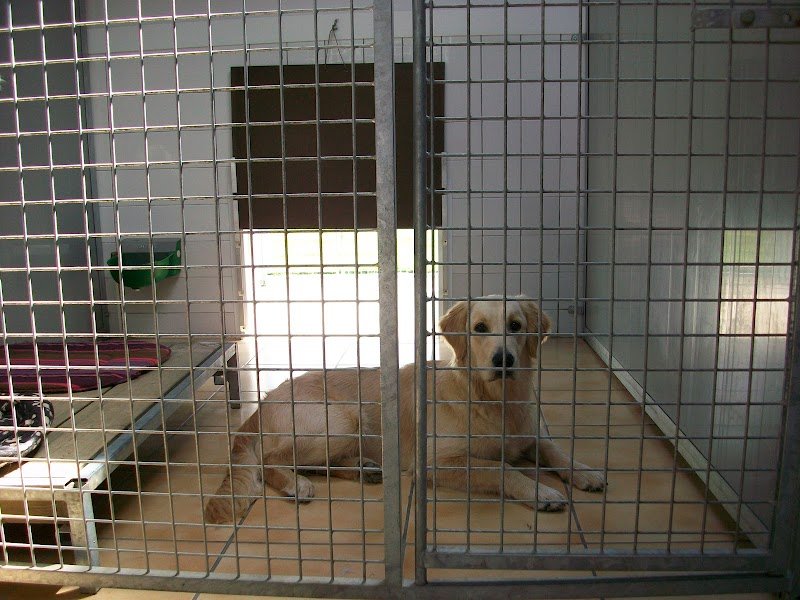 Chenil et Ecurie de Kériounan - photo 3