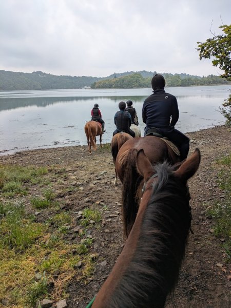 FERME EQUESTRE PONEY CLUB - photo 3