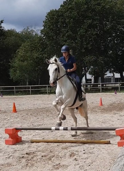 Écuries DELETTRES - photo 2