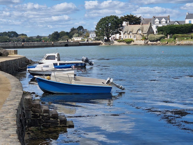 Plouhinec 56680 Pension chevaux de la Petite mer de Gâvres - photo 3