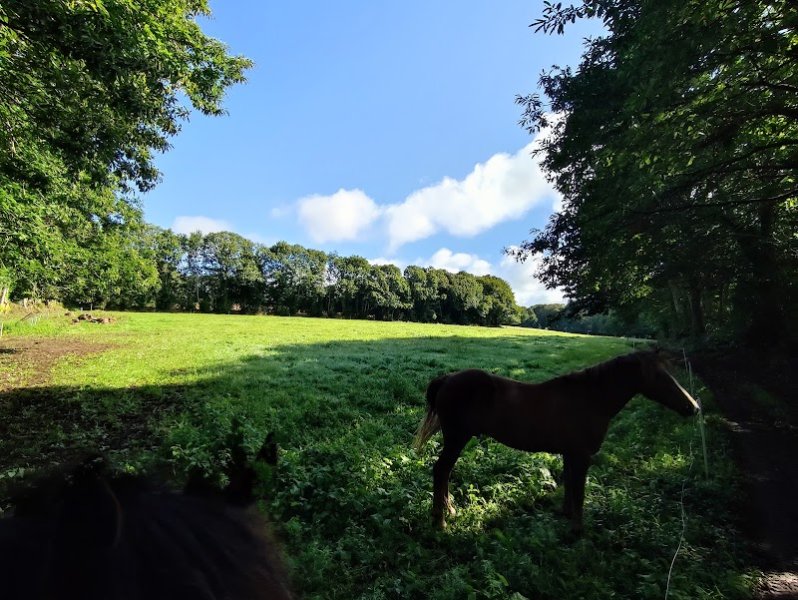 Écurie A.Z - photo 2