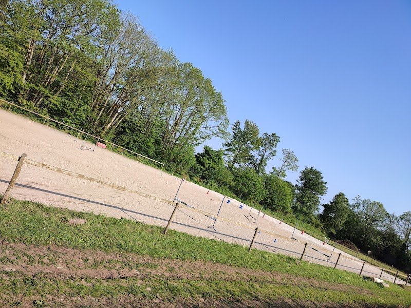 Écurie A.Z - photo 3