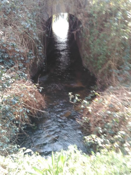 Breizh Empreinte Equestre B.E.E (anciennement Les Galopins) - photo 3